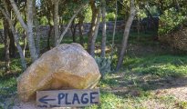 Corse du Sud photo #13