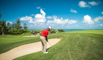 Golf Anahita photo #11