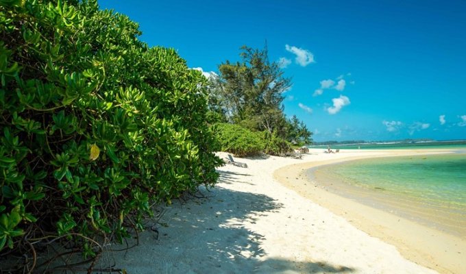 Location Villa luxe Ile Maurice Bel Ombre 100 m de la plage et accès So Sofitel Beach club