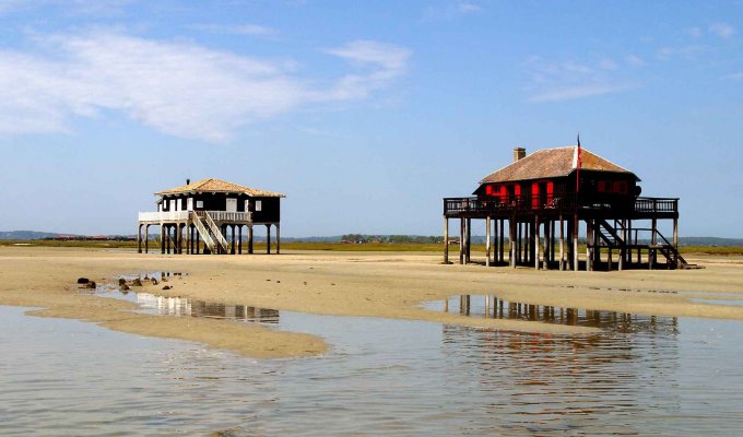 location villa Pyla sur mer plage Bassin Arcachon