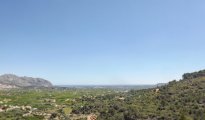 Alicante photo #7