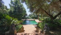 Sotogrande photo #14
