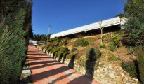 Céret photo #19