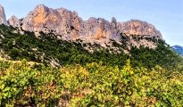 Mont Ventoux photo #25