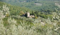Chianti Sienne photo #1