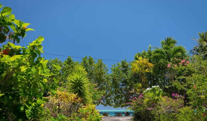Location villa Bora Bora plage Matira A 10 m du lagon