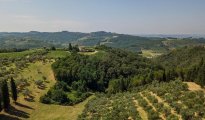 Florence photo #14
