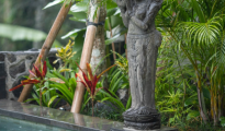 Ubud photo #10