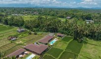 Ubud photo #14
