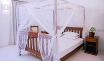 Galle photo #5