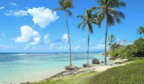 Sainte Anne photo #14