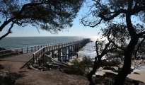 Ile de Noirmoutier photo #13