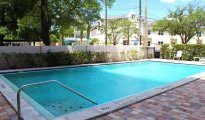 Tampa photo #10