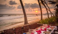 Galle photo #13