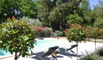 Nîmes photo #10