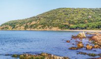 Lucques Pise Littoral photo #31