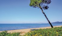 Lucques Pise Littoral photo #9