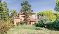 Lac Trasimene photo #6