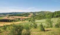 Città di Castello photo #24