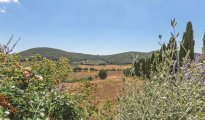 Montecchio photo #8