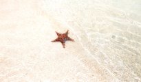 Bocas del Toro photo #14