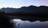 Hermanus photo #6