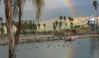 Beit Shean photo #3
